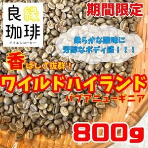 生豆 800g パプアニューギニア ワイルドハイランド スペシャリティ コーヒー　coffee beans