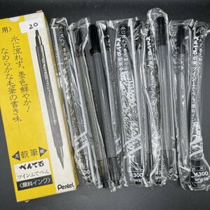 【未開封】【送料無料】10本 まとめて ぺんてる ツイン筆ペン 柔筆 細字 太字 毛筆 顔料インク SFW30 (N10-ST