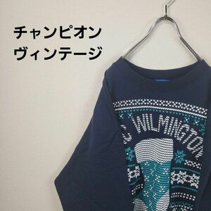 Championヴィンテージ スウェット 袖刺繍ロゴ メンズL 　奇抜