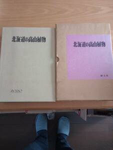 240329-10　北海道の高山植物　創土社/発行所　昭和51年12月10日発行