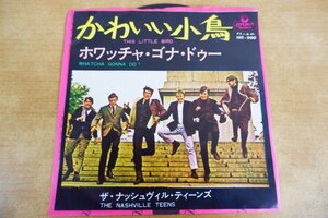 EPd-8144 THE NASHVILLE TEENS / かわいい小鳥