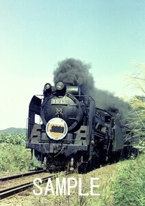 D51 631 八高線さよなら列車【鉄道写真51042】KGサイズ☆