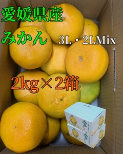 fm ESC愛媛県産みかん3L.2LMix2kg ×2箱子みきゃん箱①