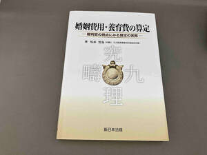 婚姻費用・養育費の算定 松本哲泓