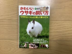 かわいいウサギの飼い方★ウサギの飼い方本でベスト★