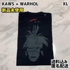 KAWS + WARHOL カウズ＋ウォーホル UT Tシャツ XLサイズ