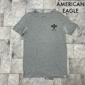 AMERICAN EAGLE アメリカンイーグル Tシャツ T-shirt TEE 半袖 両面プリント USA企画 ストレッチ グレー サイズS 玉SS1913