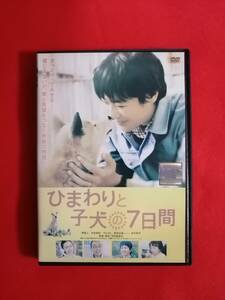 DVD『ひまわりと子犬の7日間』堺雅人/中谷美紀