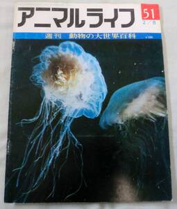 古書◆雑誌◆S47年 週刊アニマルライフ第５１号 ◆ クラゲ★クモヒトデ★グランドペンギン★クリップスプリンガー★クルミガイ★