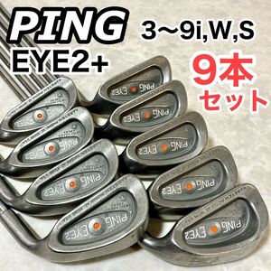 Ping ピン EYE2+ アイアンセット 3〜9i,W,S 9本 赤ドット アイ２ ゴルフ クラブ アイアン ビンテージ レア 純正 