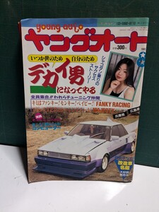 ヤングオート19958高速有鉛街道レーサー暴走族車GX71マークⅡハチマルヒーローレルソアラセドリックラウンミラブ灯クレスタ大助商店水中花