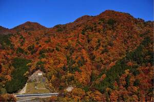 鉄道写真　中央東線を走る横須賀色の115系　No.1