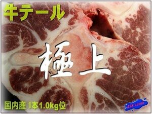 珍味です!!「牛テール（尾）1kg以上」 国内産 ASK福袋訳業務用