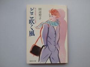 田辺聖子　どこ吹く風　男と女の新フレンド事情　集英社文庫　同梱可能