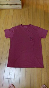 patagonia　パタゴニア　半袖Tシャツ　速乾Tシャツ　スリムフィット