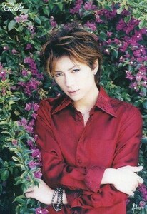 中古ポストカード(男性) Gackt ポストカード(シャツ赤) 「オフィシャルファンクラブ DEARS」