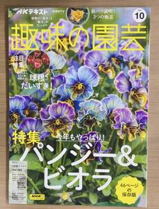 NHK趣味の園芸2024年10月号 パンジー＆ビオラ/ダリア/チューリップ/秋バラ満喫/多肉植物 ほか　送料185円