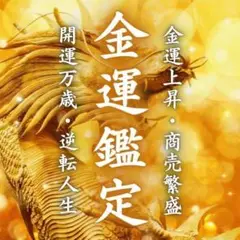 【金運鑑定】一攫千金の夢を叶える 霊視鑑定・金運・借金・宝くじ・開運・転職・恋愛