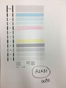 【A2231】プリンターヘッド ジャンク 印字確認済み QY6-0090 CANON キャノン TS8030/TS9030/TS8130/TS8230/TS8330/TS8430