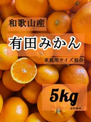 和歌山産 有田みかん 5kg   サイズ混合 みかん 甘くて美味しい 濃厚　ジューシー　訳あり　家庭用