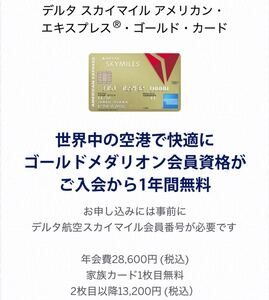 【正規紹介】デルタ スカイマイル アメリカンエキスプレスゴールドカード 特典75,000ポイント AMEX 審査緩 ブラック 外国籍 低収入 主婦