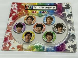 【即決】関ジャニ∞ ミニバッジセット くじ 缶バッジ 横山裕 渋谷すばる 村上信五 丸山隆平 安田章大 錦戸亮 大倉忠義