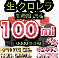 ★高濃縮】生クロレラ原液100 メダカの飼育 psb 金魚 熱帯魚 稚魚の水37