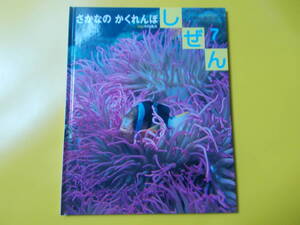 【しぜん　さかなの　かくれんぼ】平成１５年７月/中村庸夫：写真/かくれくまのみ/おにかさご/ごんずい/キンダーブック/フレーベル館　