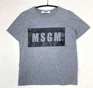 MSGM エムエスジーエム sサイズ 国内正規 Tシャツ パネルロゴ ボックス プリント