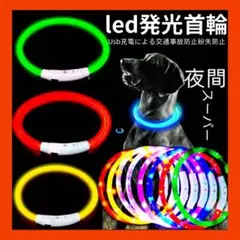 No.676 犬用 発光首輪 LED 光る首輪 猫用 ペット用 USB充電式