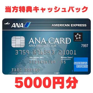 【当方特典あり/最大2.3万ポイント獲得】ANA アメリカン・エキスプレス・ カード 紹介キャンペーン amex クレジットカード