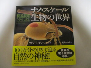 【送料無料】 KG160(大型写真集) ナノ・スケール 生物の世界 リチャード・ジョーンズ著 河出書房新社 (定価5217円) 驚異の電子顕微鏡写真