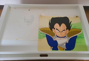 DRAGON BALL　ベジータ　セル画　直筆背景付き　鳥山明　ドラゴンボール