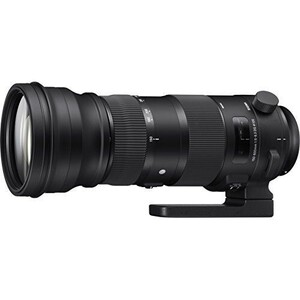 中古 １年保証 美品 SIGMA Sports 150-600mm F5-6.3 DG OS HSM (キヤノンEF用)