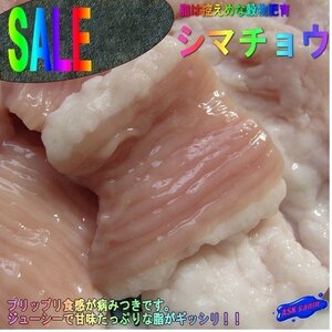 3本、脂控えめな「シマ腸 1kg」焼肉・BBQに、プロ用　穀物肥育／国産　もちろんモツ鍋最高！！