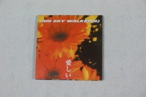 愛しい人よ　ＪＵＮ　ＳＫＹ　ＷＡＬＫＥＲ（Ｓ）　８㎝CD