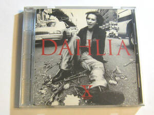 DAHLIA X JAPAN 