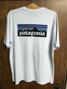 patagonia / パタゴニア　P-6ロゴ・レスポンシビリティー Tシャツ White L used　レターパックプラス発送　まとめて発送も可能