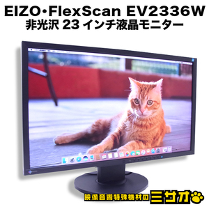 ★EIZO FlexScan EV2336W・23インチ 液晶モニター・FullHD(1920×1080)・非光沢・ピボット機能・DisplayPort/DVI-D［使用時間：26357H］