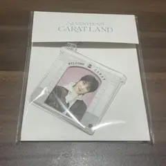 SEVENTEEN caratland アクリルフォトキーリング　the8