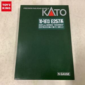 1円〜 動作確認済 KATO Nゲージ 10-1613 E257系2000番台 踊り子 9両セット