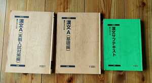 駿台 テキスト 漢文 入試対策 東大・京大・早慶 2023　