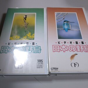 ★中古VHS「ビデオ図鑑　日本の野鳥（上下巻セット）」財団法人日本鳥類保護連盟　蟹江栄司