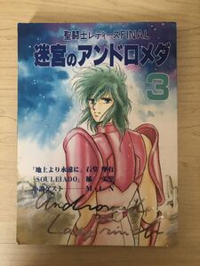 聖闘士星矢 同人誌 迷宮のアンドロメダ3 聖闘士レディース 186p 氷河×瞬