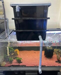 自作 濾過装置 3段ボックス ブラック 濾過層 濾過器 金魚 メダカ 1,500L 上部フィルター 濾過装置