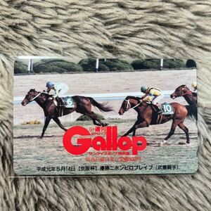 240926　Gallop　競馬　ニホンピロルレイブ