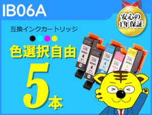 ●送料無料 ICチップ付 互換インク IB06A 色選択自由《5本セット》PX-S5010用