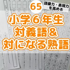 65小学６年生対義語　上下で対の意味になる熟語　反対　進研ゼミ　類義語 ことわざ　慣用句　ことばのきまり　国語　ドリル