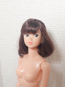 momoko doll 冬のスケッチ