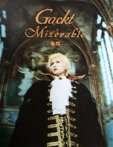 Ｇａｃｋｔ　Ｍｉｚ´ｅｒａｂｌｅ　飛翔(上巻) フランス・ロケ写真集 フランス・ロケ写真集上巻／堤あおい(その他)